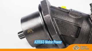 A2fe63 Motor hidráulico
