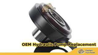 A10VG45-F02 圆形 T13 大象45 foto 1